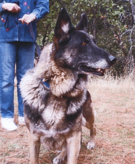 Sophie